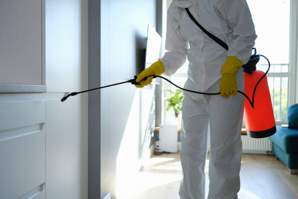 Best Office Mold Removal Services  in Ravena, NY